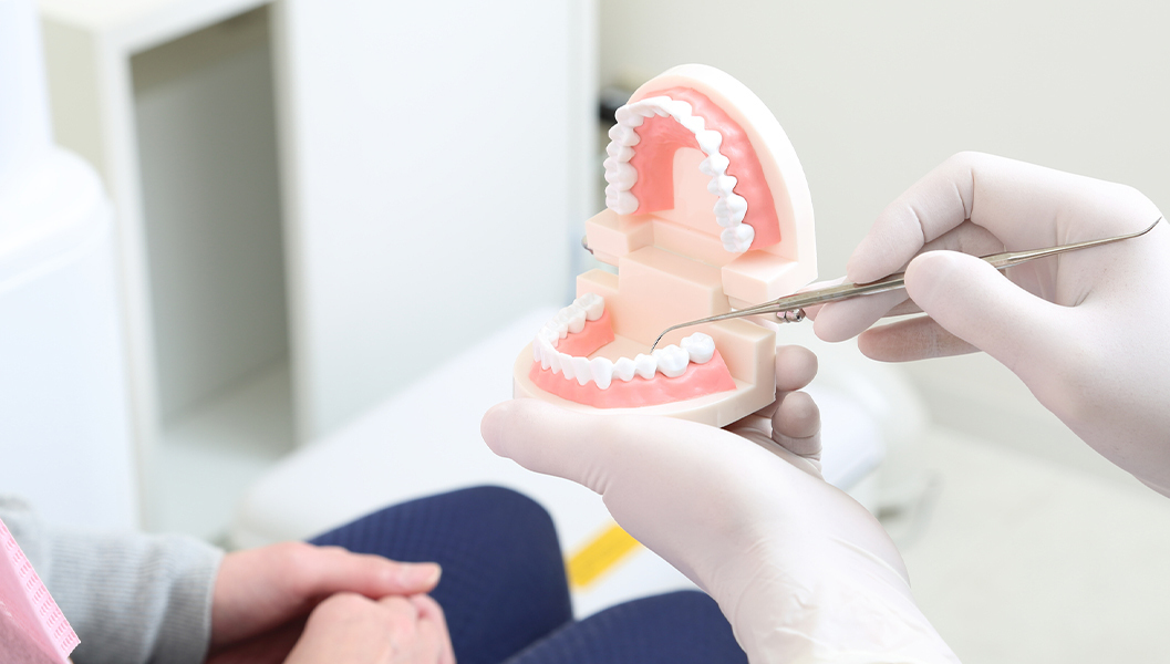 枚方市の小児の予防歯科